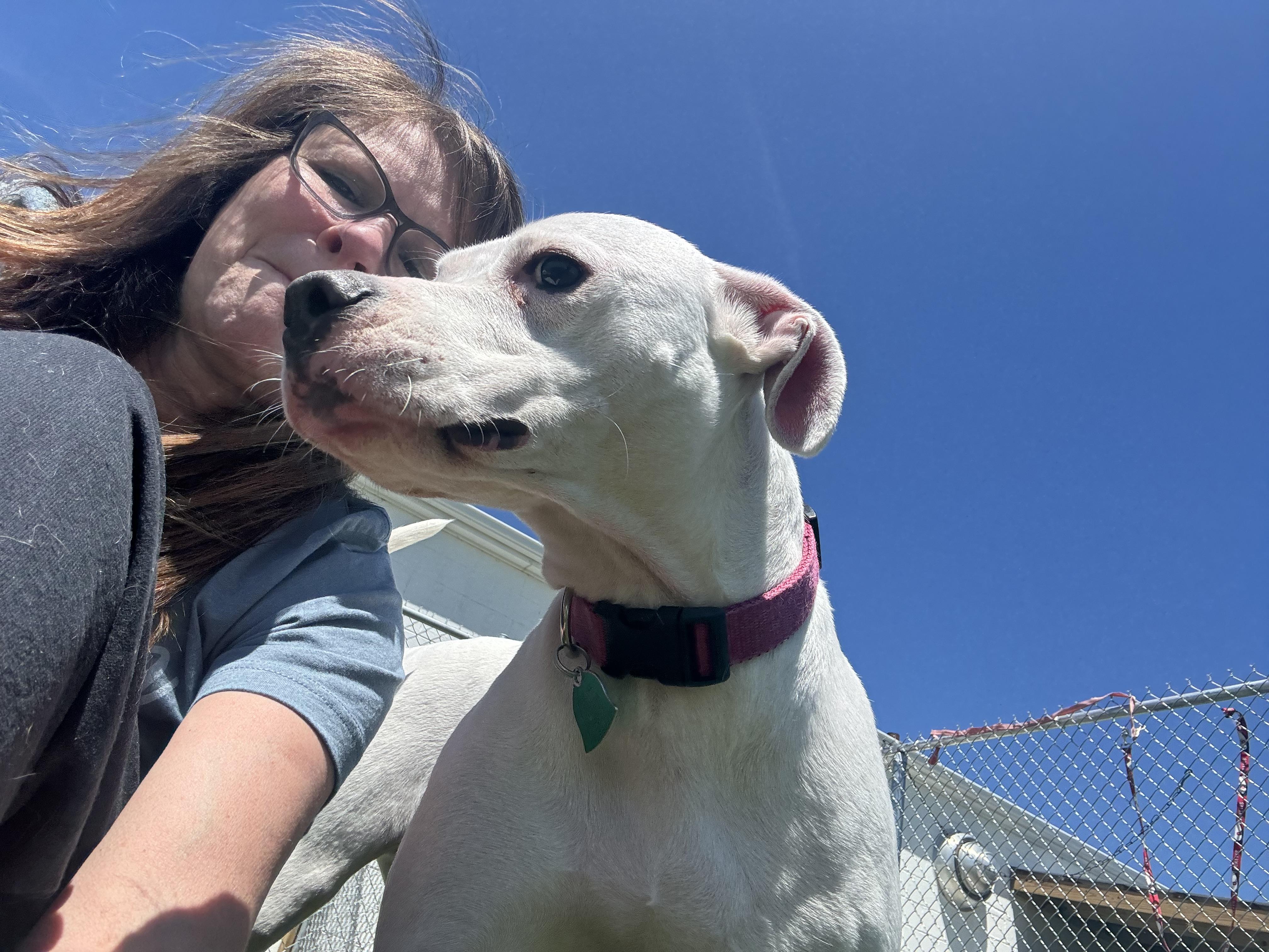 Blessing thumbnail 3