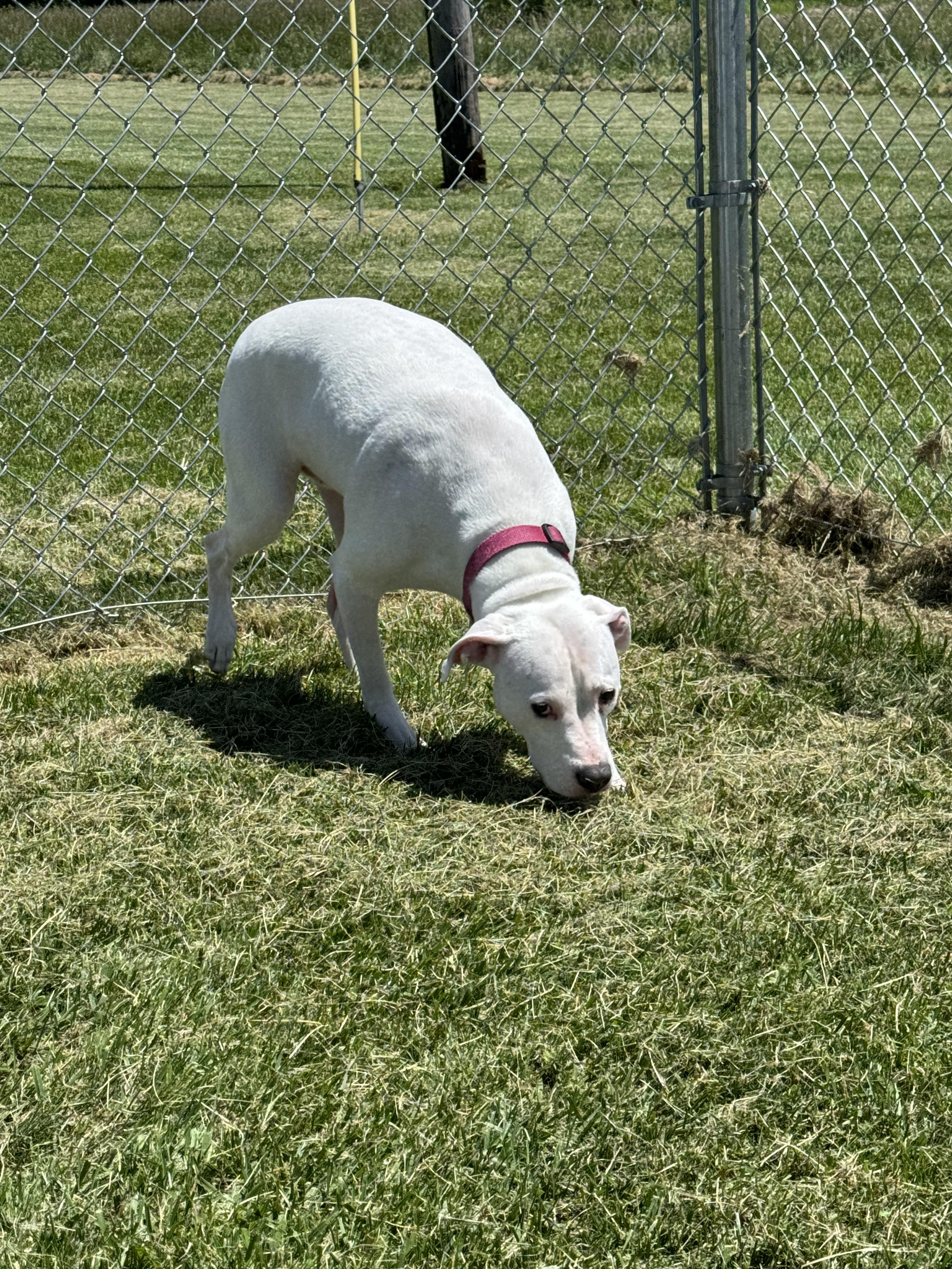 Blessing thumbnail 5