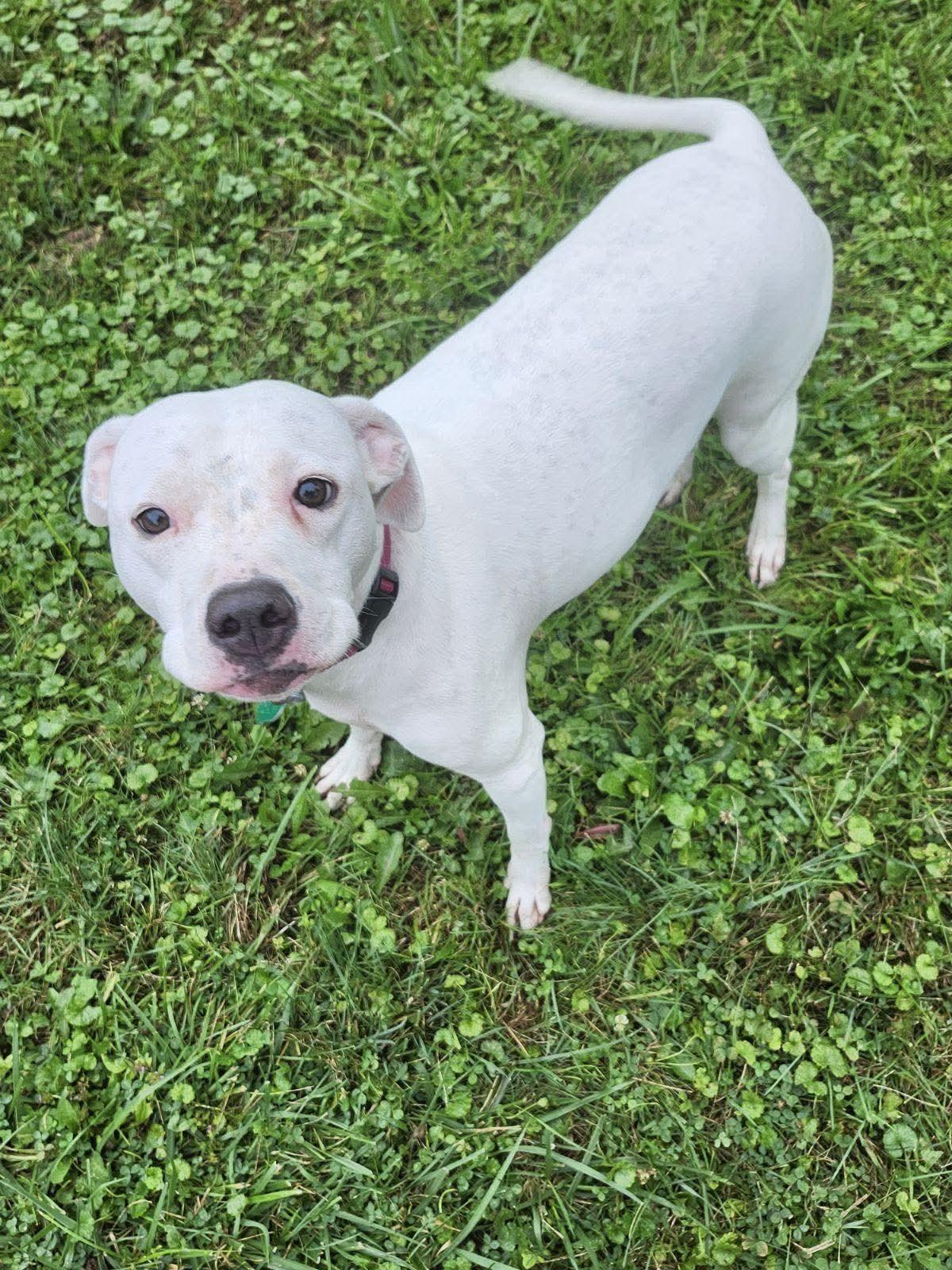 Blessing thumbnail 6