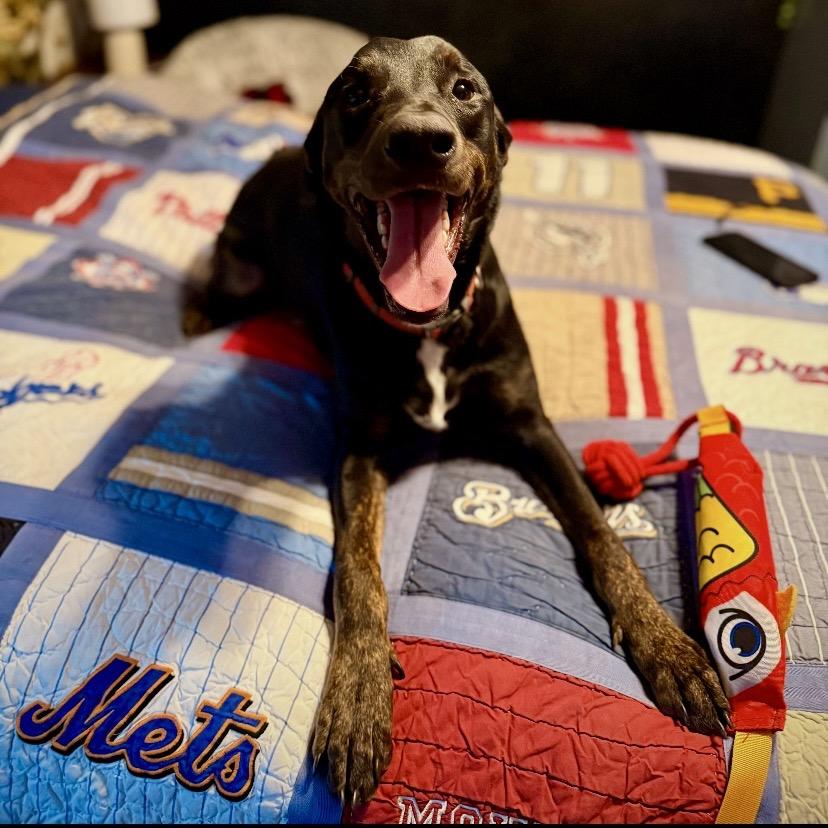 Cypress — thumbnail 5