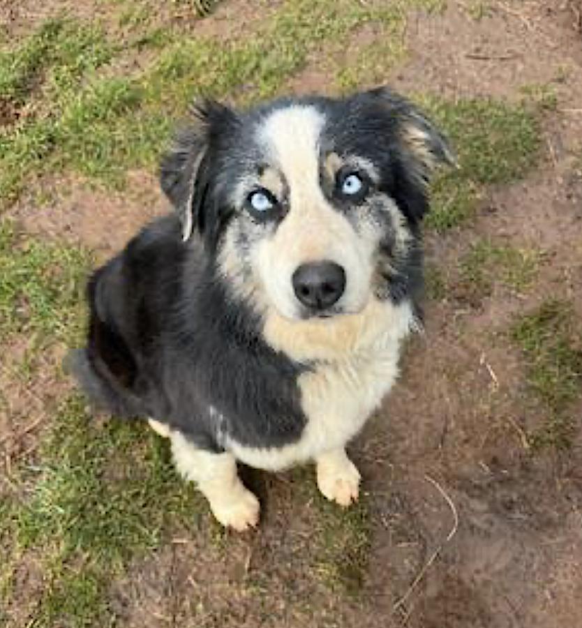 Chloe — thumbnail 3