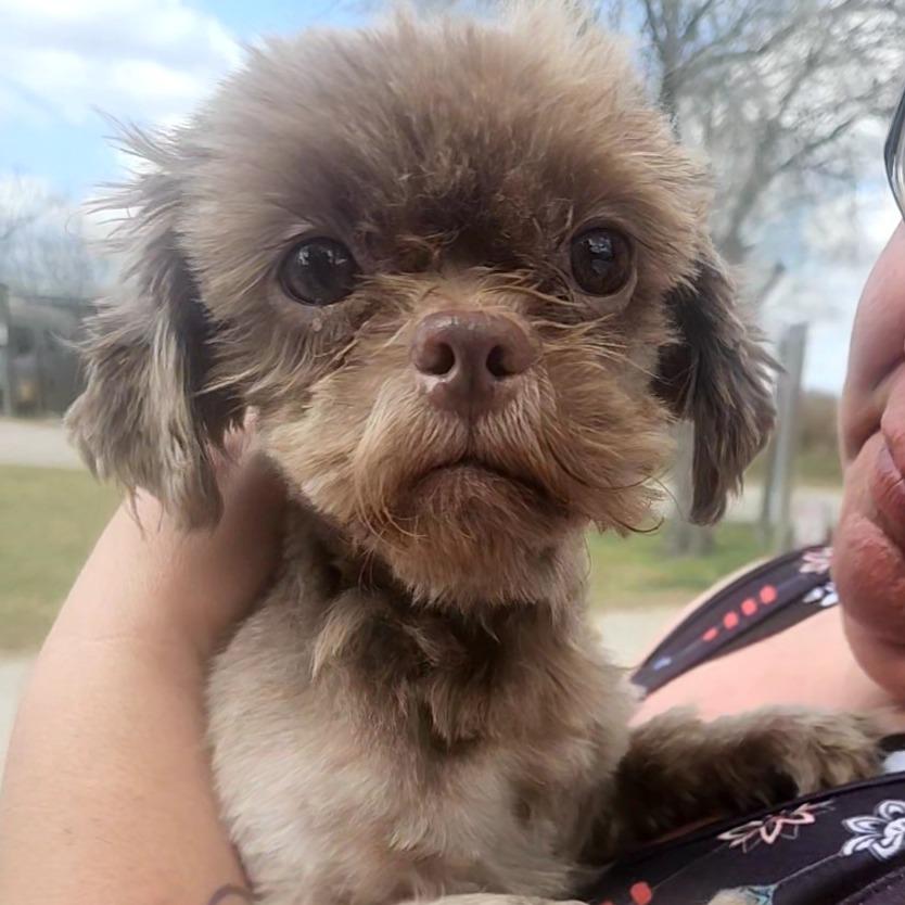 Jack — thumbnail 3