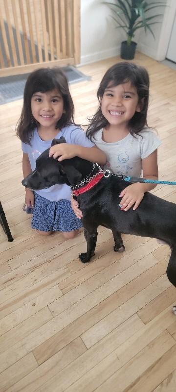 Gizmo Pint Sized Cuddle Buddy — thumbnail 5