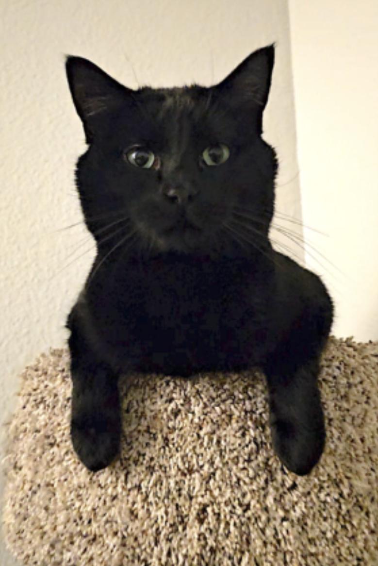 Nugget — thumbnail 2