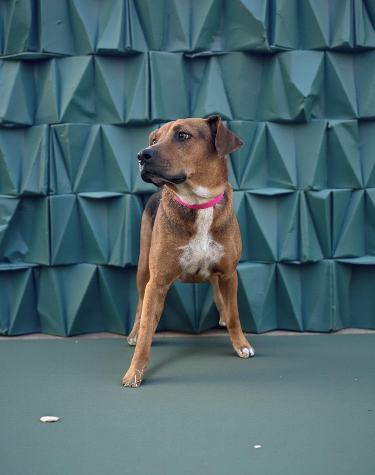 Victoria thumbnail 5