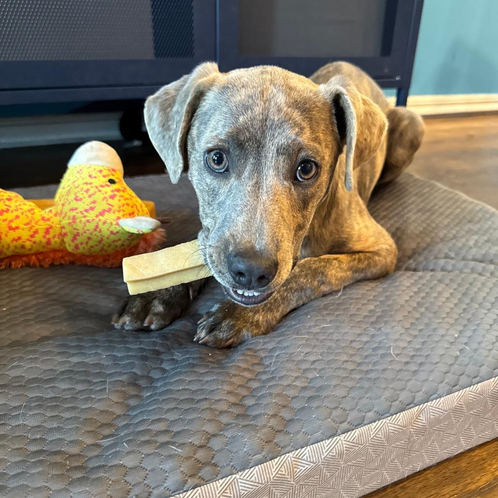 Sweetheart thumbnail 2