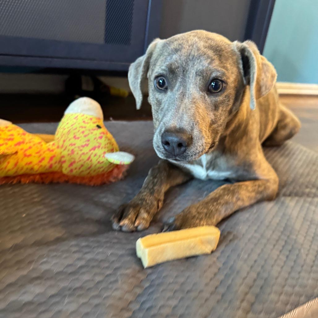 Sweetheart thumbnail 3