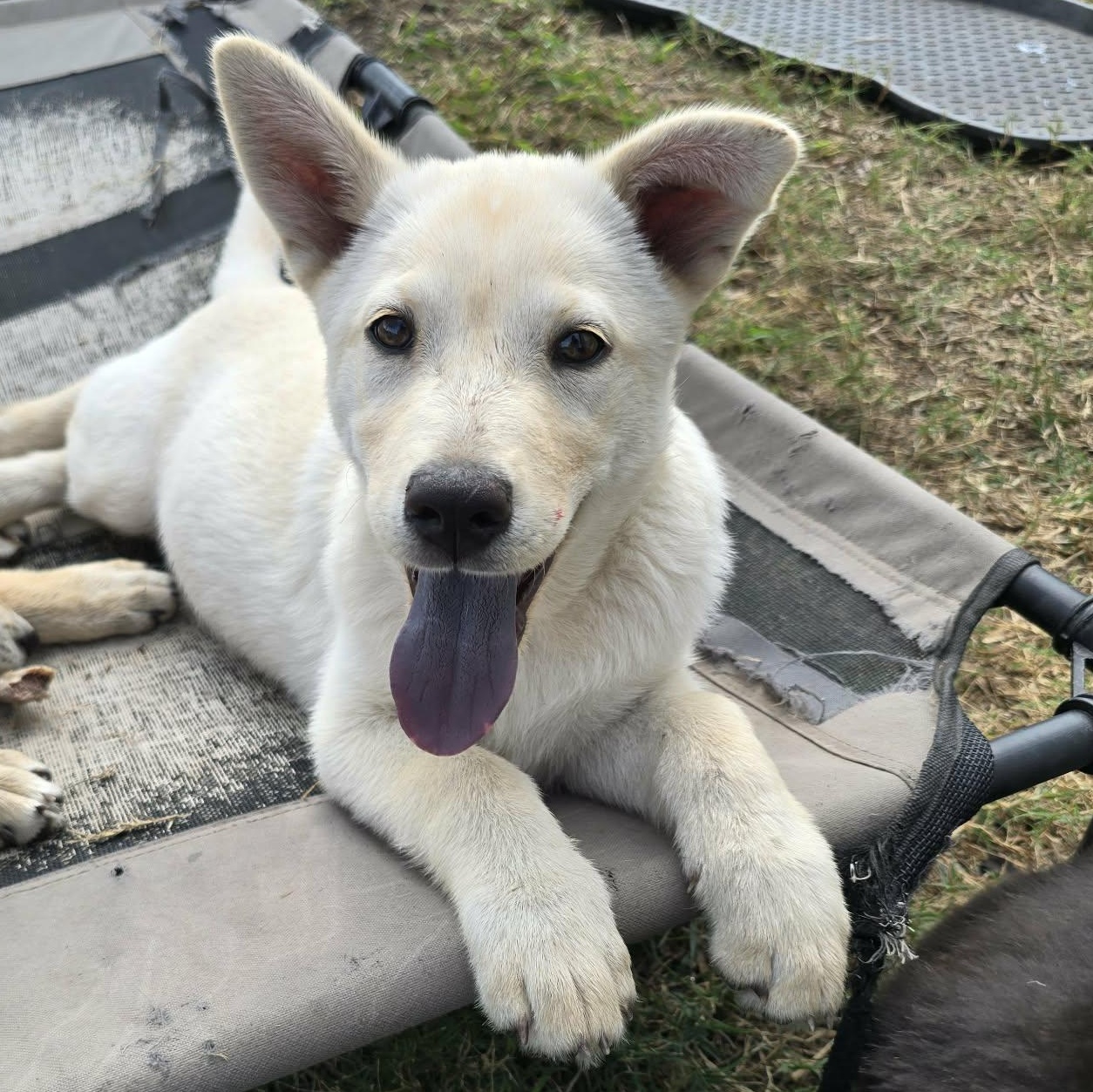 Melody — thumbnail 2