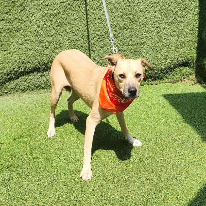 Wilma — thumbnail 4