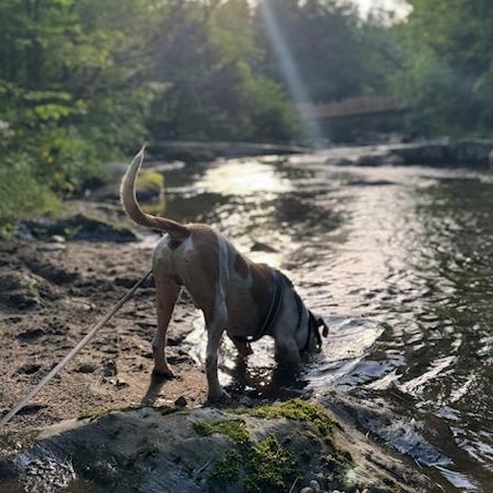 Bucky photo 5