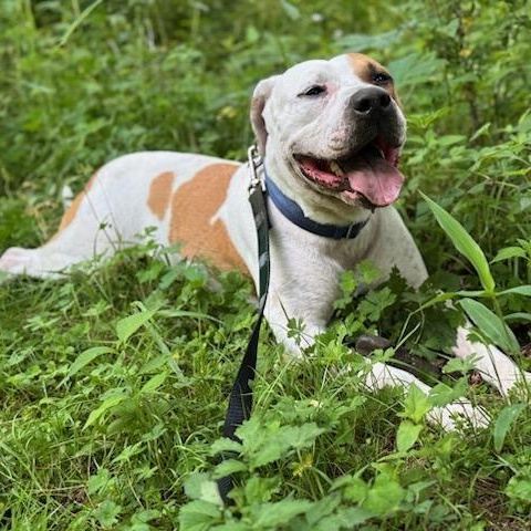 Bucky photo 1