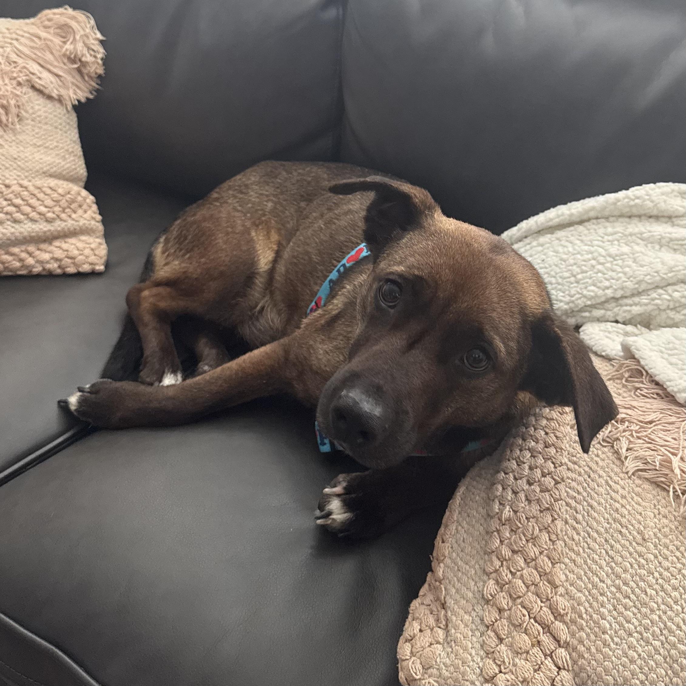 Ting — thumbnail 4