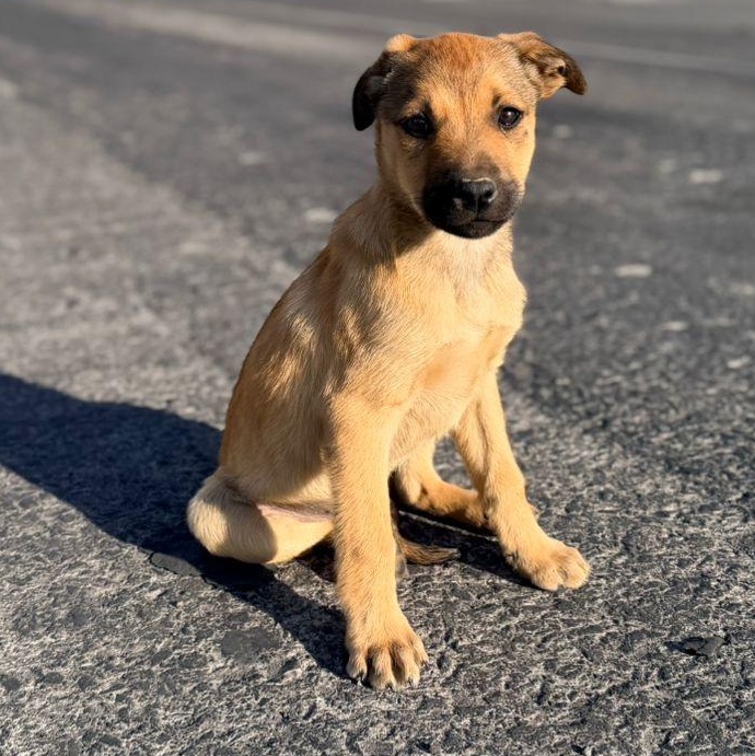 Punch — thumbnail 5