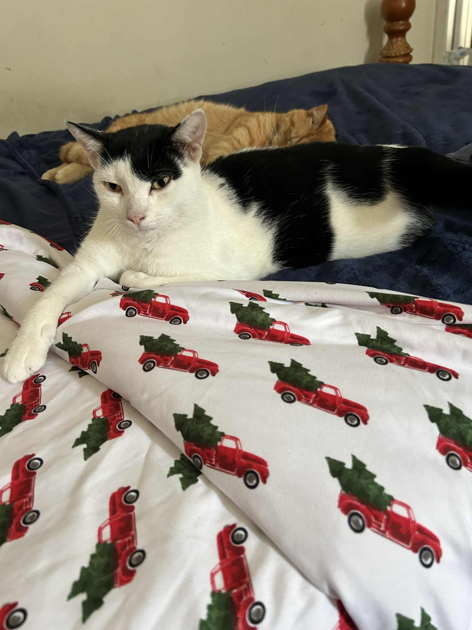 Burberry And Armani thumbnail 4