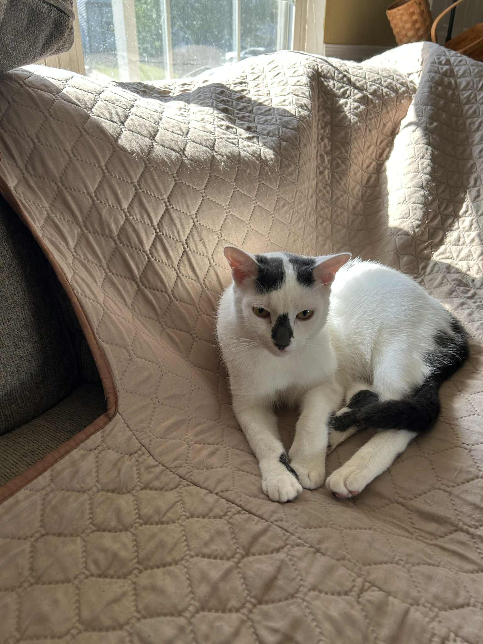 Burberry And Armani thumbnail 5