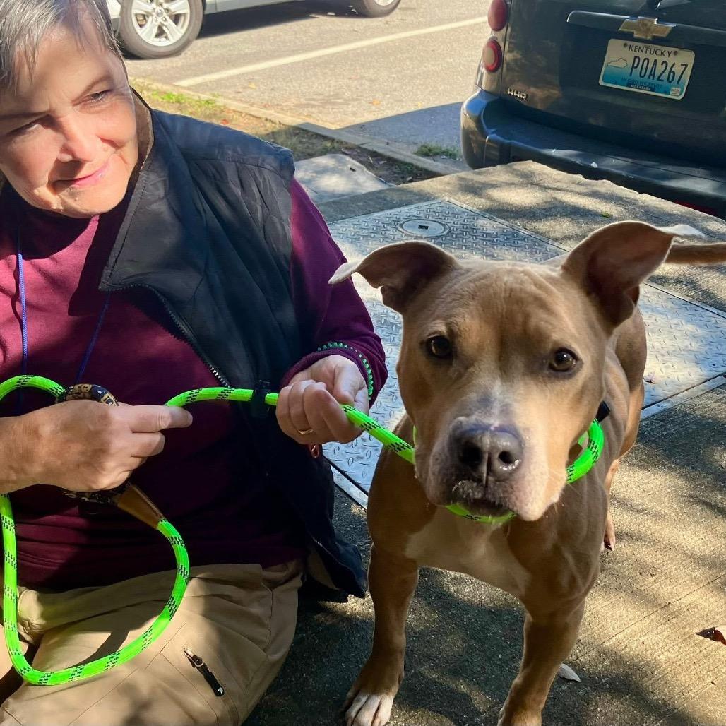 Breezy 5441, a Adoptable Mixed Breed in Columbus, GA image 2/6