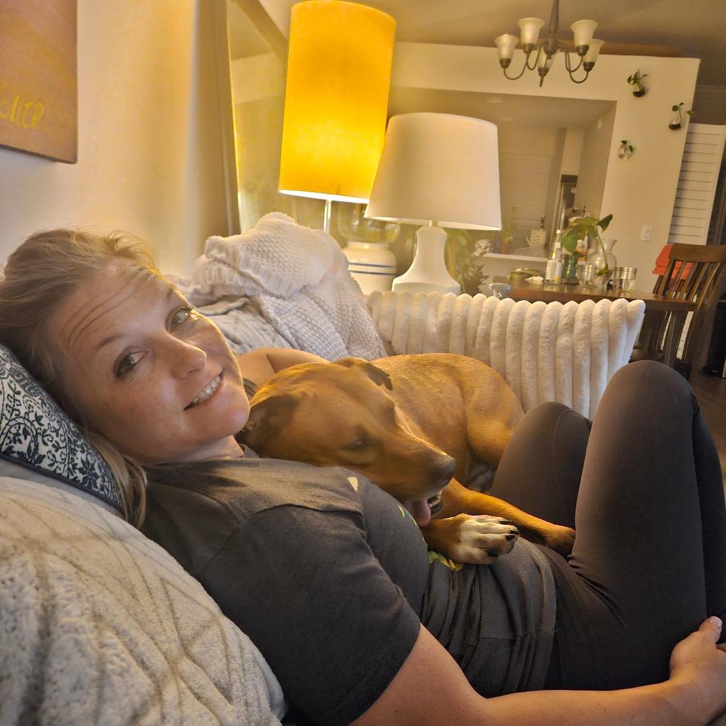 Dwight, a Adoptable mixed breed in Juno Beach, FL image 2/4