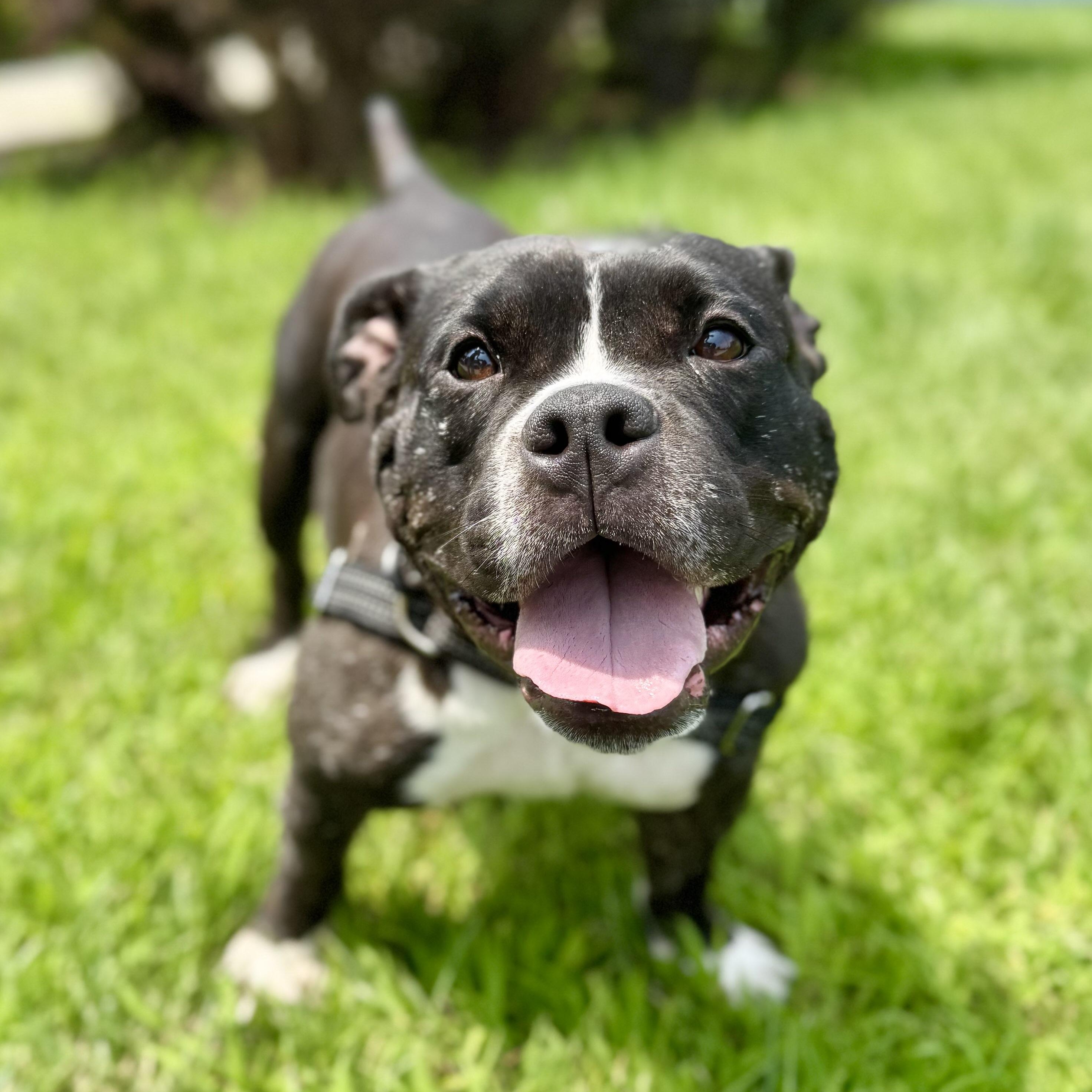 Smidge