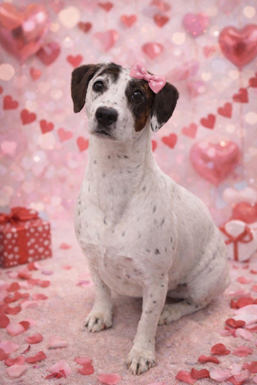 Daisy! Precious girl! — thumbnail 2