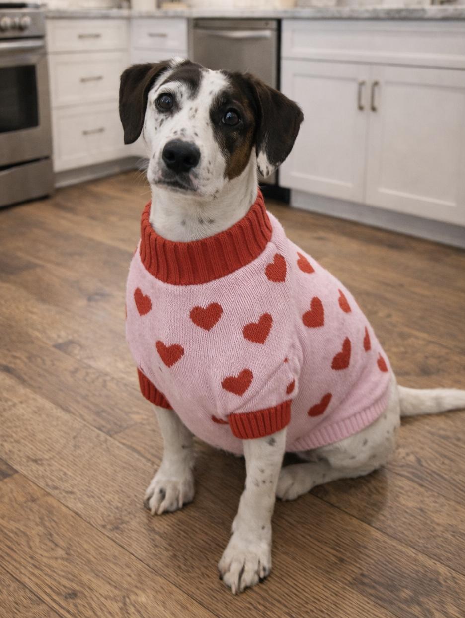 Daisy! Precious girl! — thumbnail 3