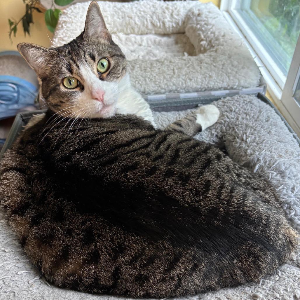 Moira — thumbnail 2