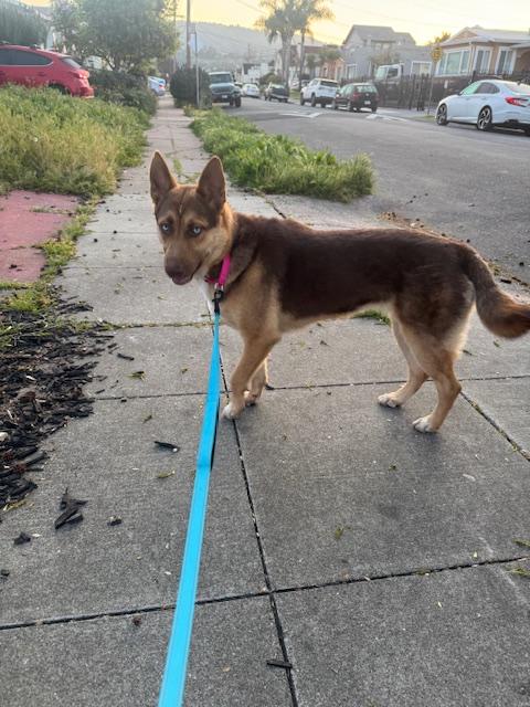 Luna photo 2
