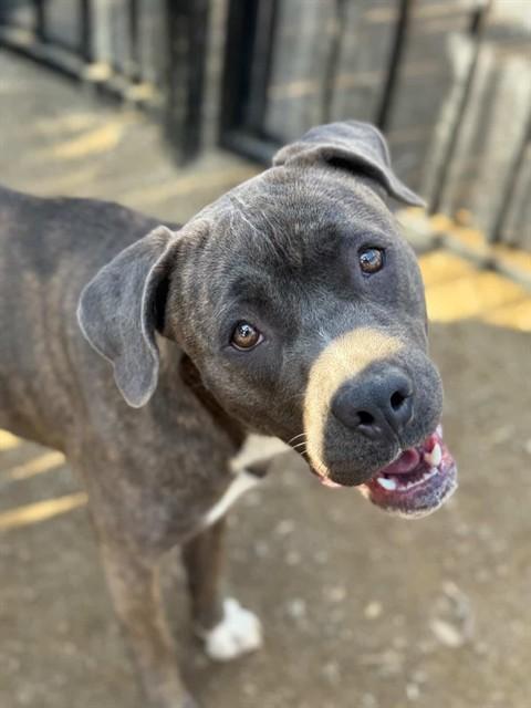 MULAN — thumbnail 2