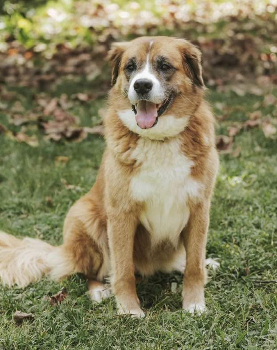 Annie - in New England