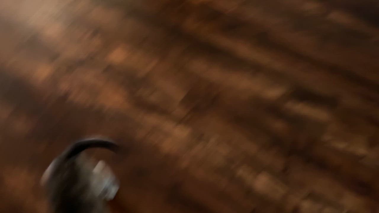 Enlarge Rey, a Adoptable mixed breed in Pasco, WA video 6/6