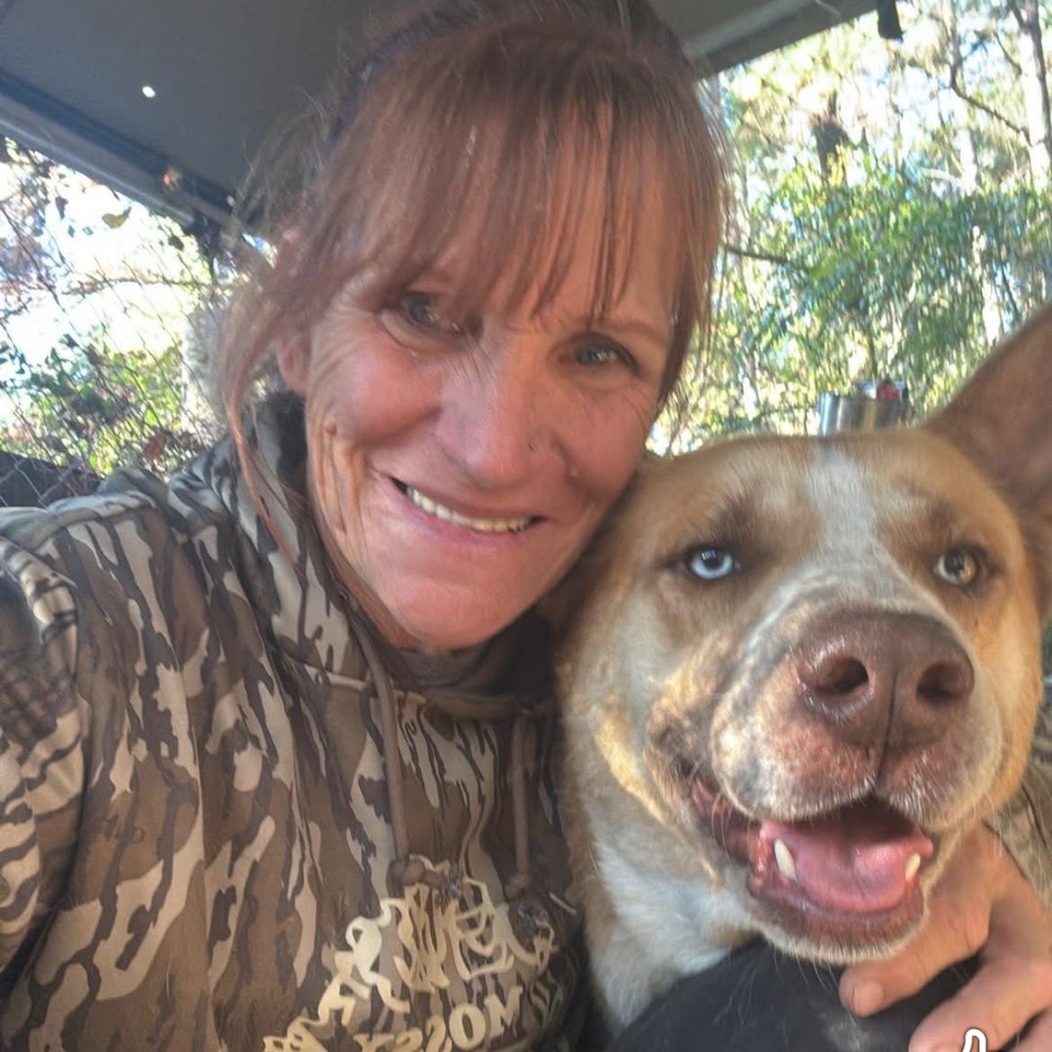 Maverick , a ADOPTABLE mixed breed in Barkhamsted, CT image 5/5