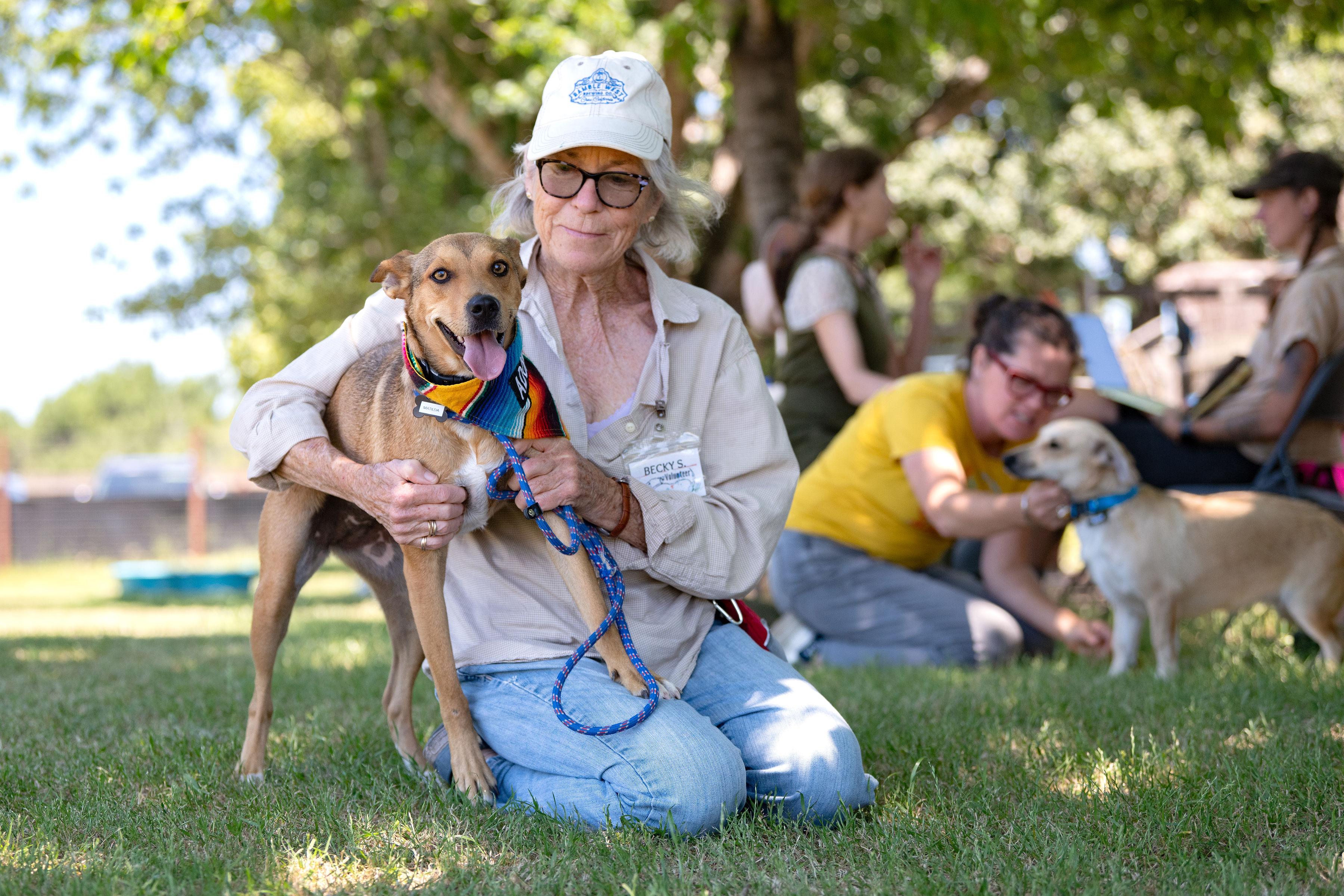 Matilda, a ADOPTABLE mixed breed in Santa Rosa, CA image 3/3