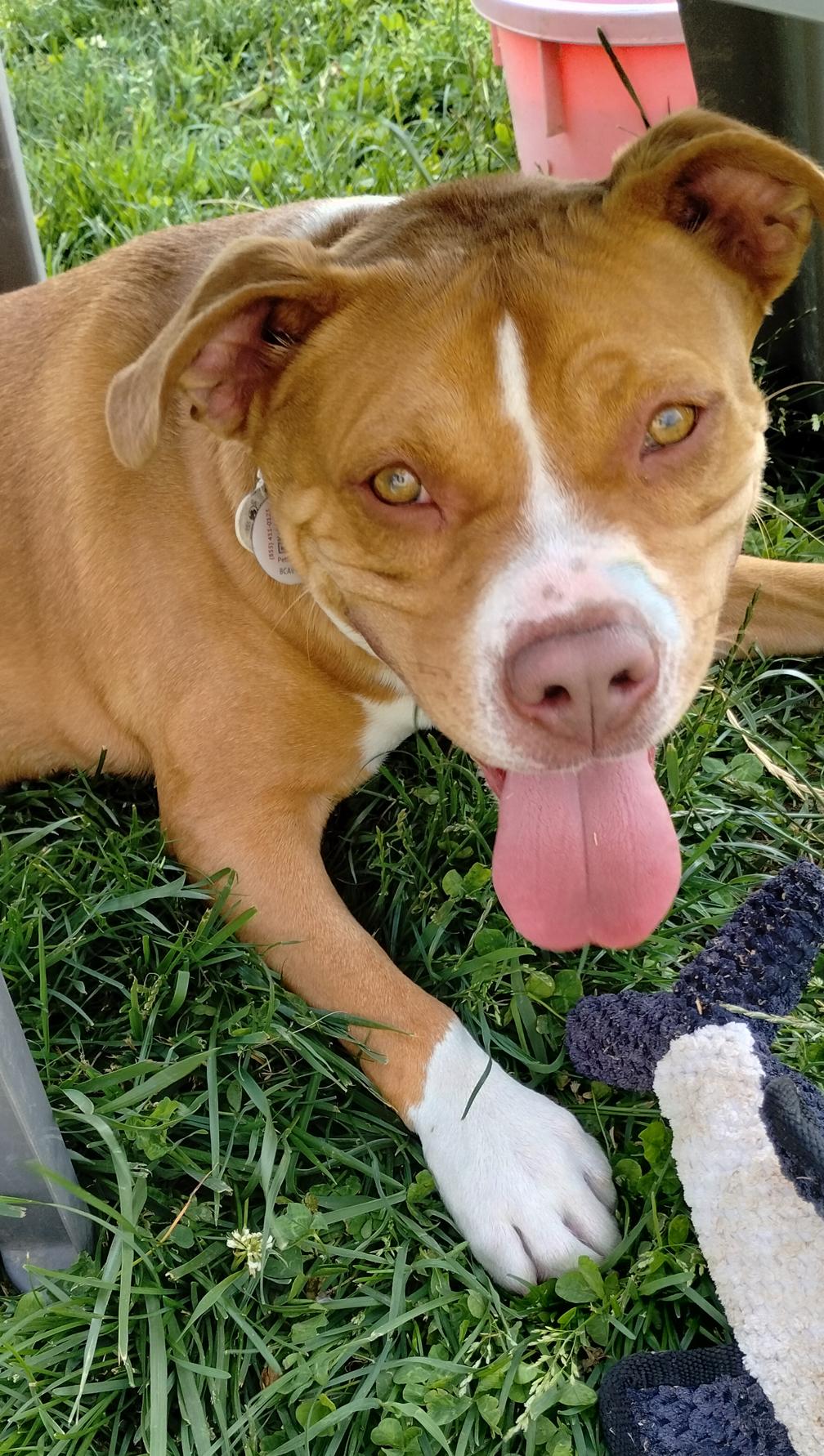 Colby Jack photo 3