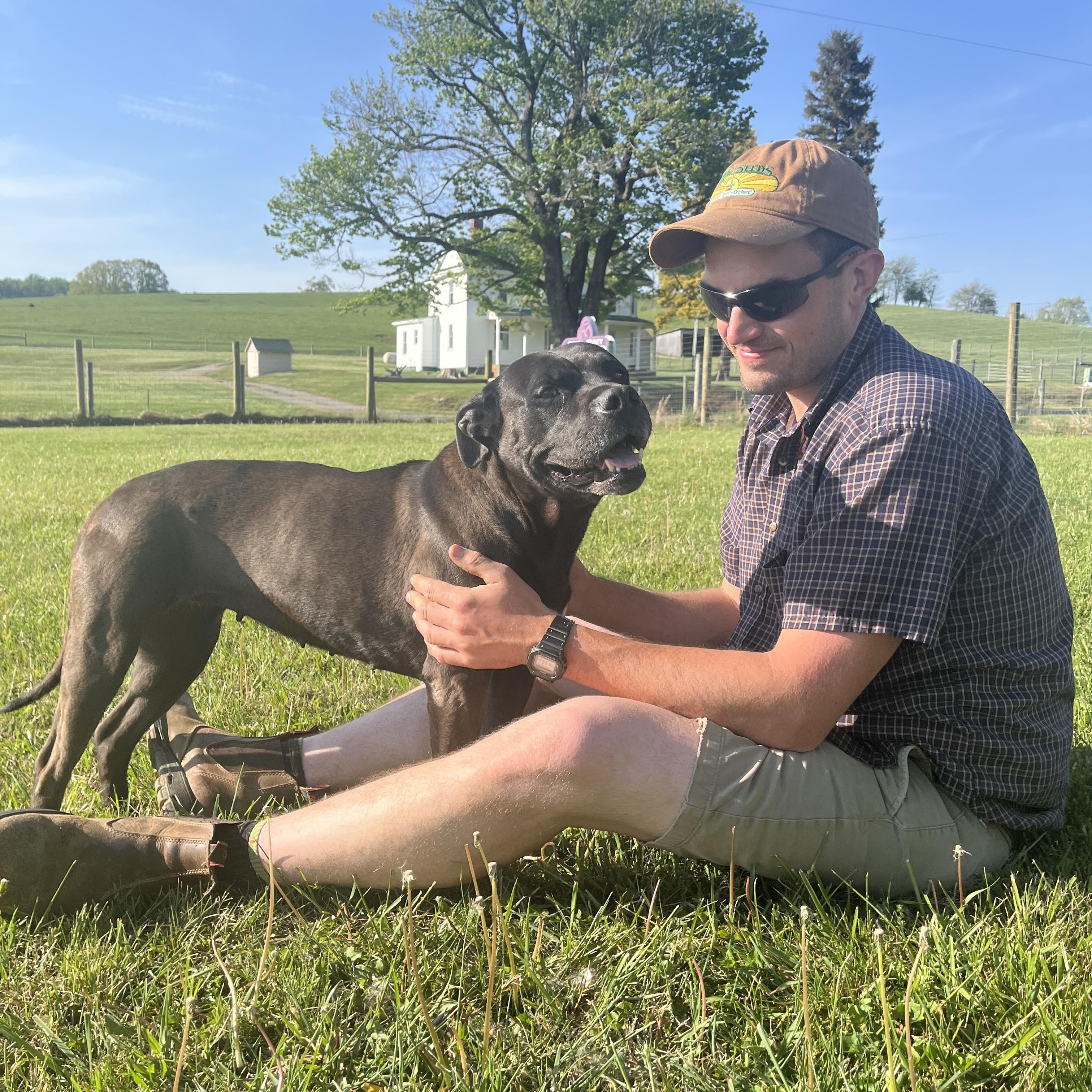 Velma, a Adoptable mixed breed in Floyd, VA image 5/6