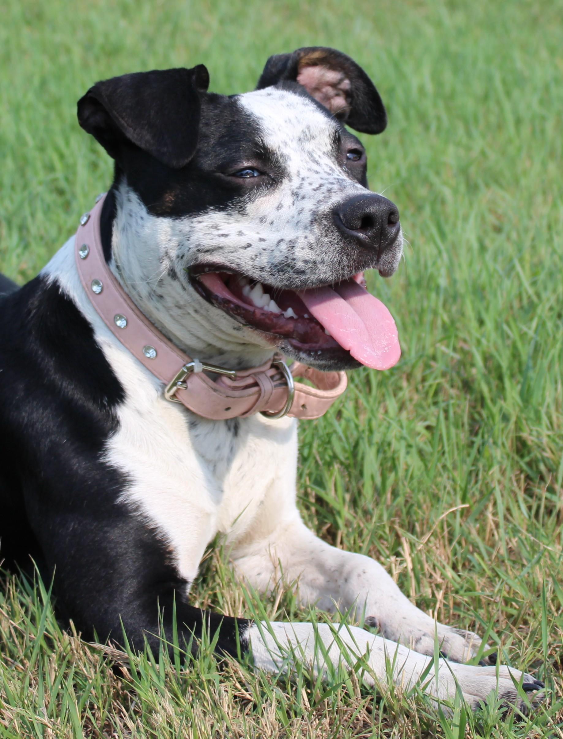 Bella, Young Female unknown