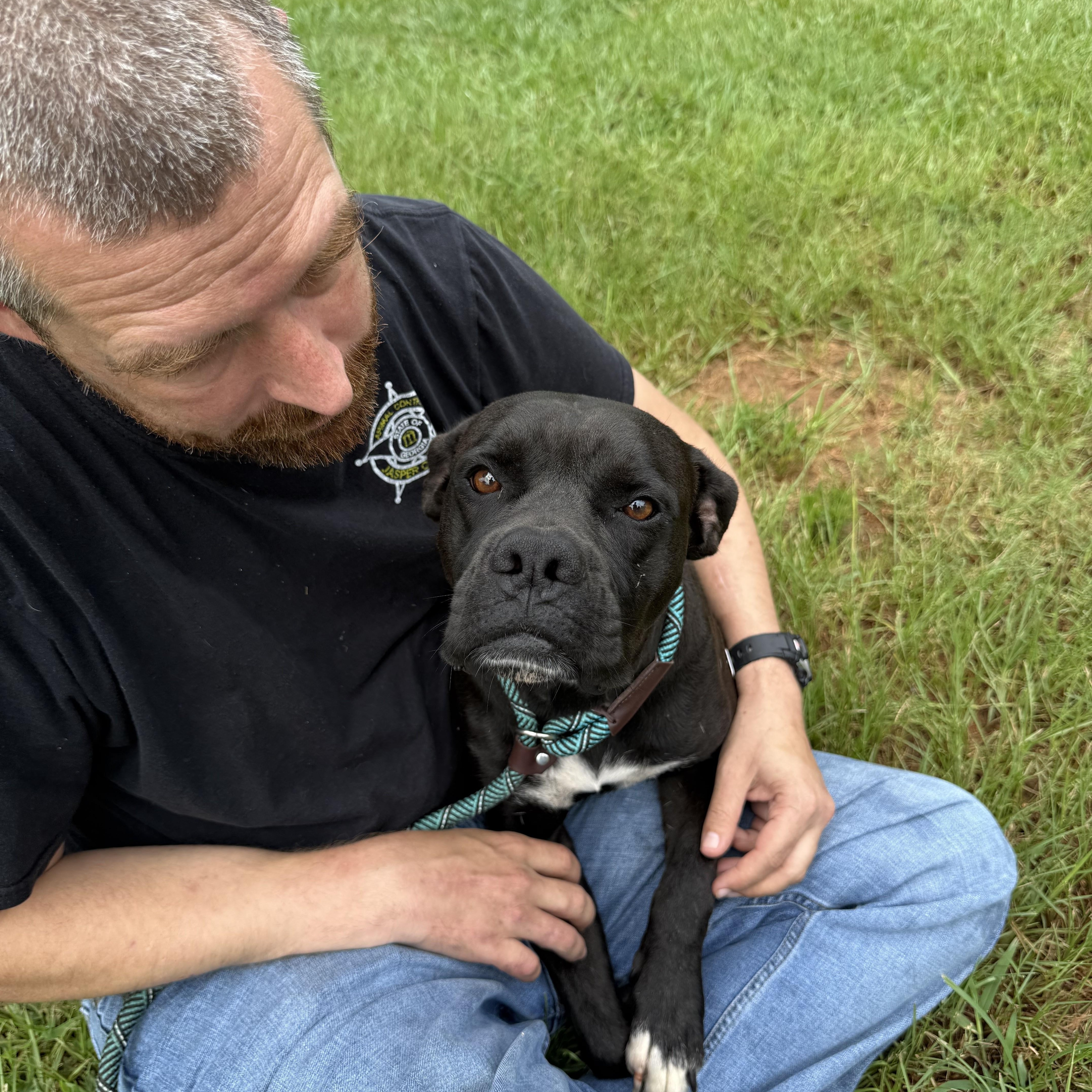 Enlarge GYPSY, a ADOPTABLE mixed breed in Newborn, GA image 1/5