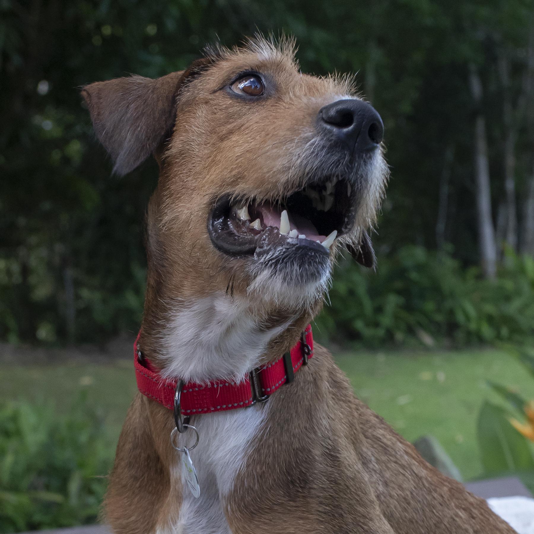 Harper She Is Outstanding thumbnail 2