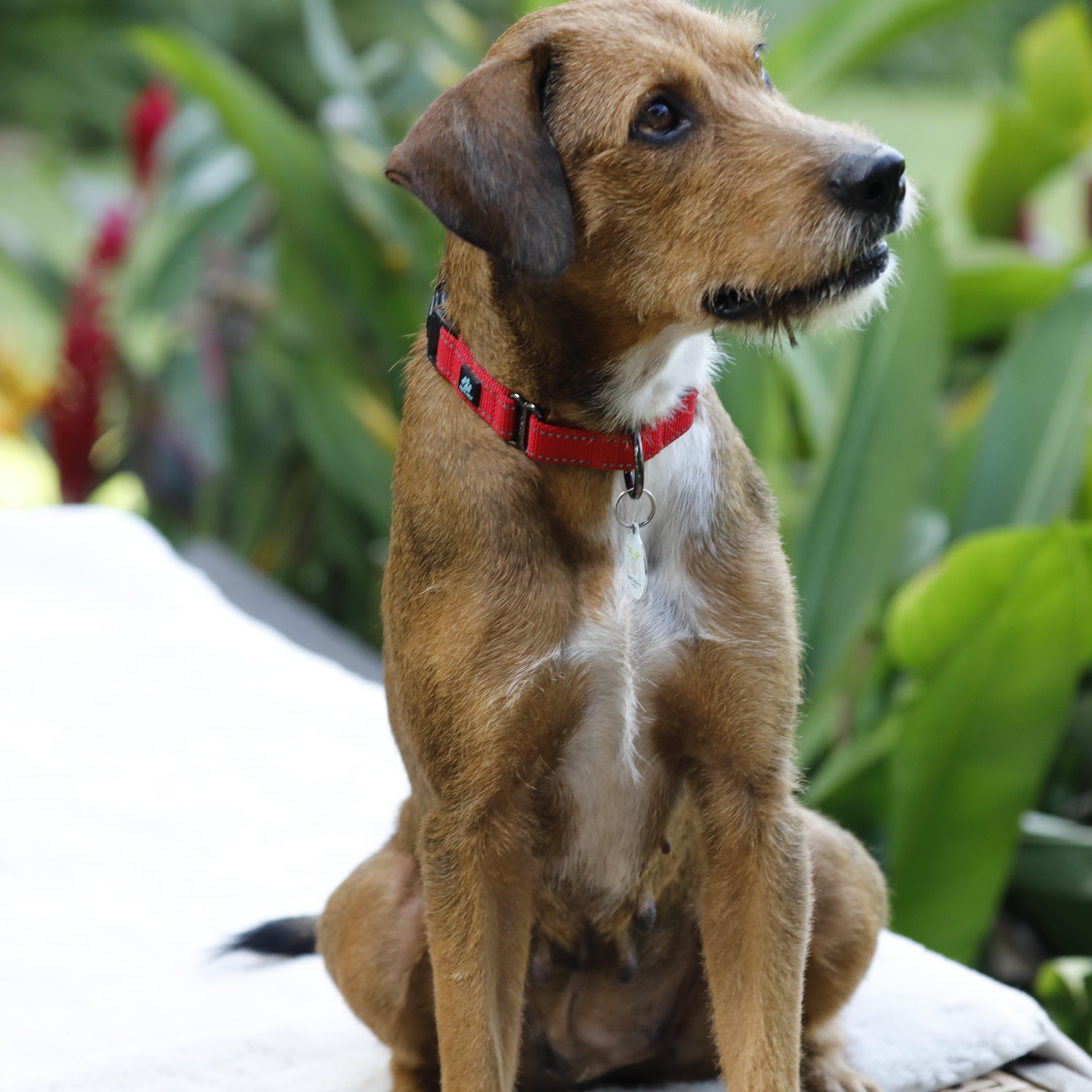 Harper She Is Outstanding thumbnail 4