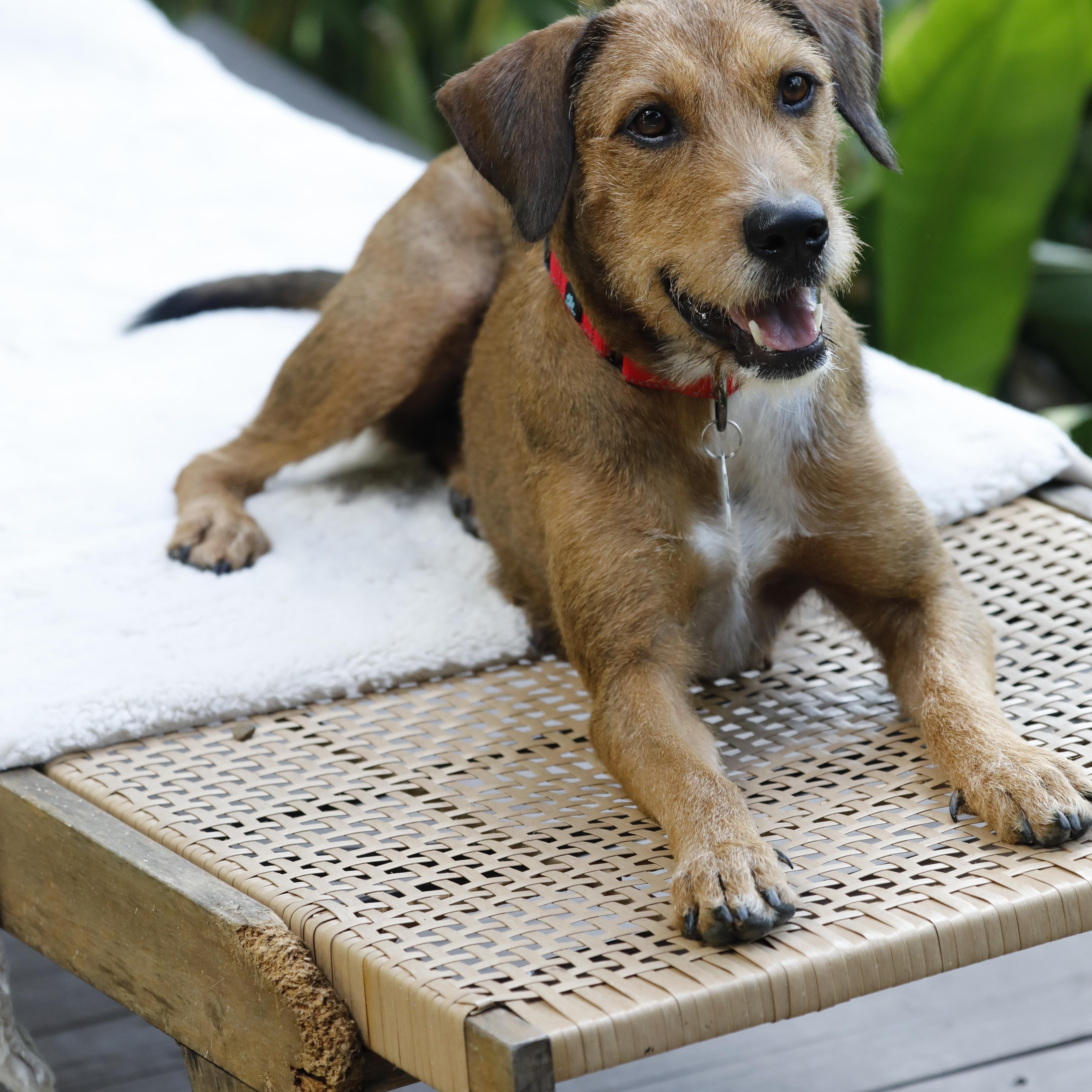 Harper She Is Outstanding thumbnail 6