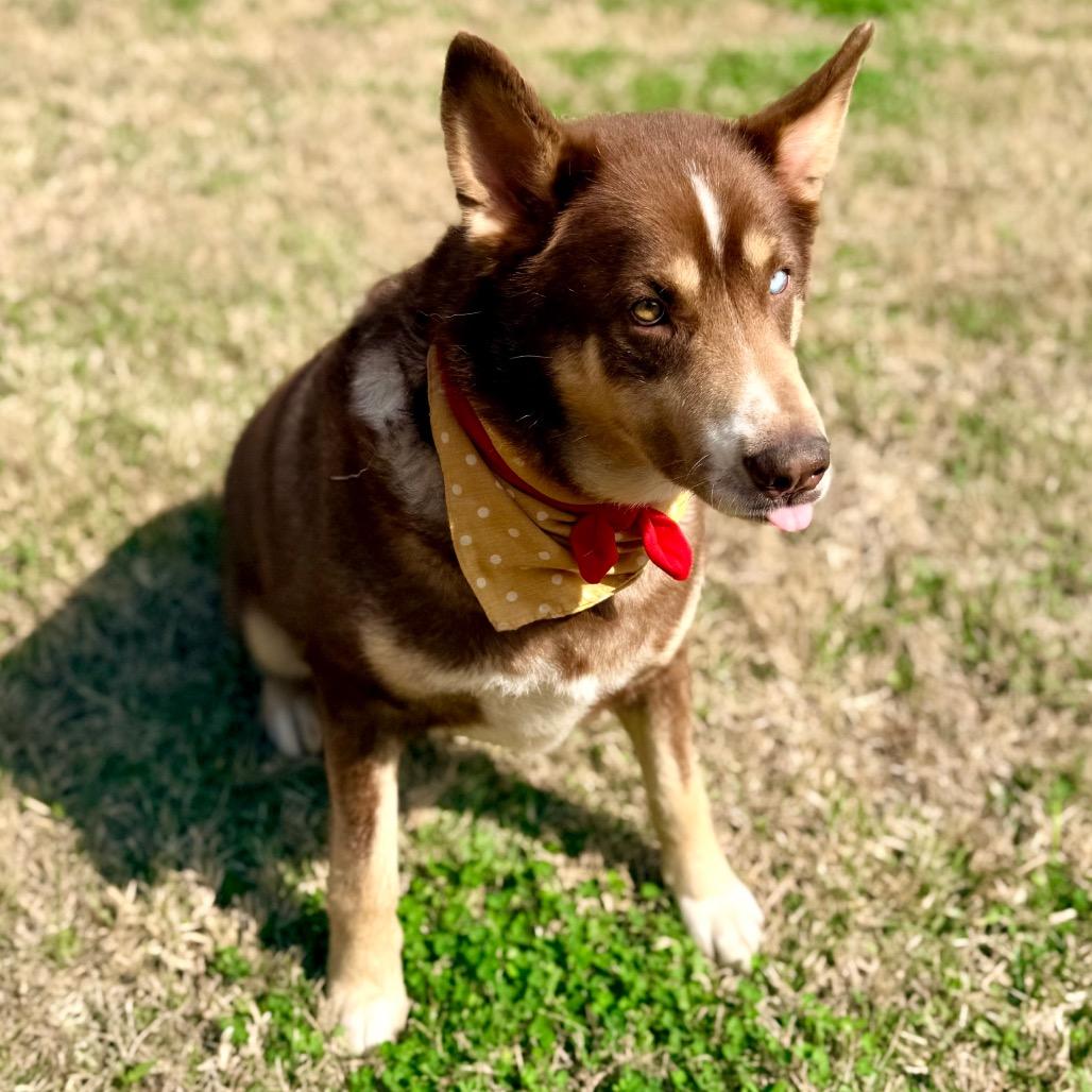 Cherry Pepper — thumbnail 5