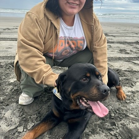 Ozzie, a Adoptable Rottweiler in Redmond, WA image 3/6