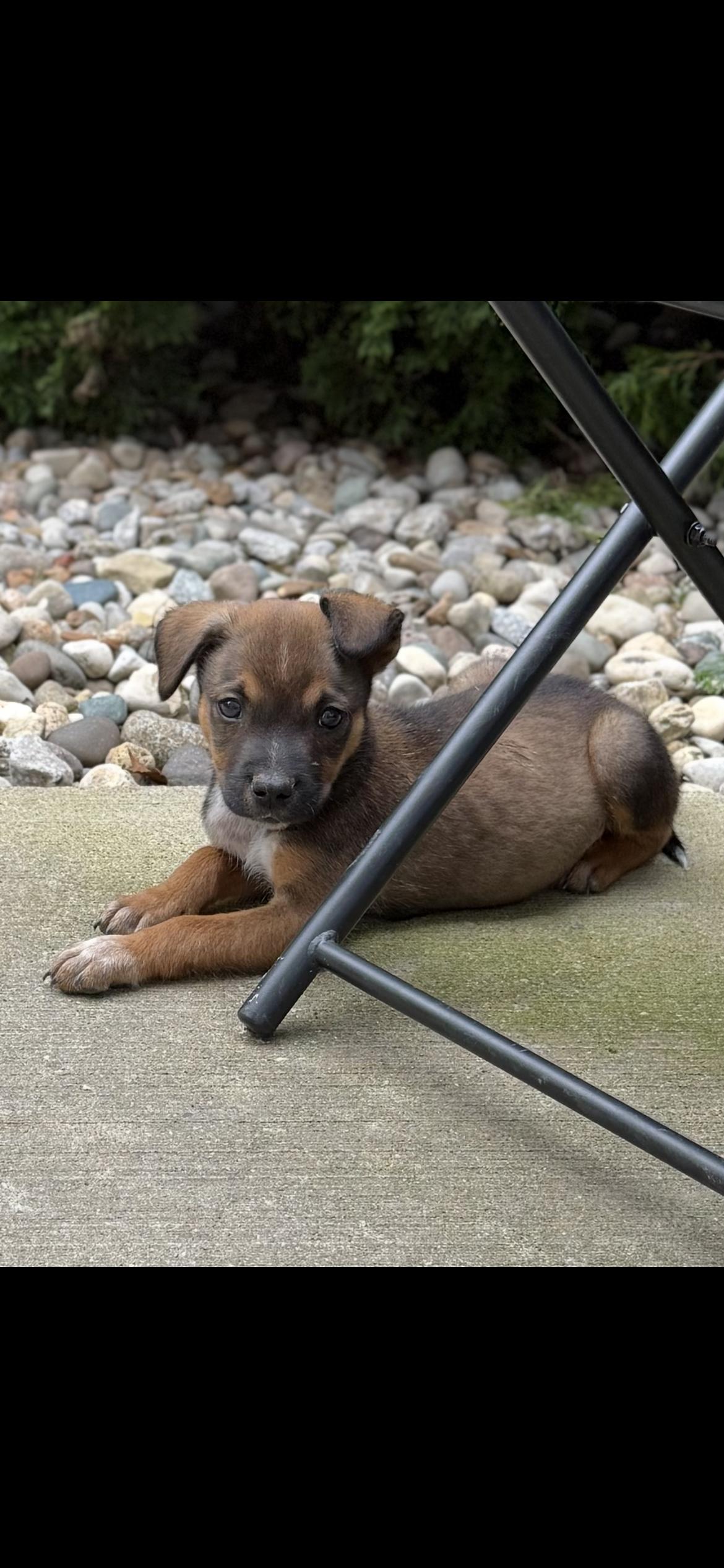 GUS photo 4