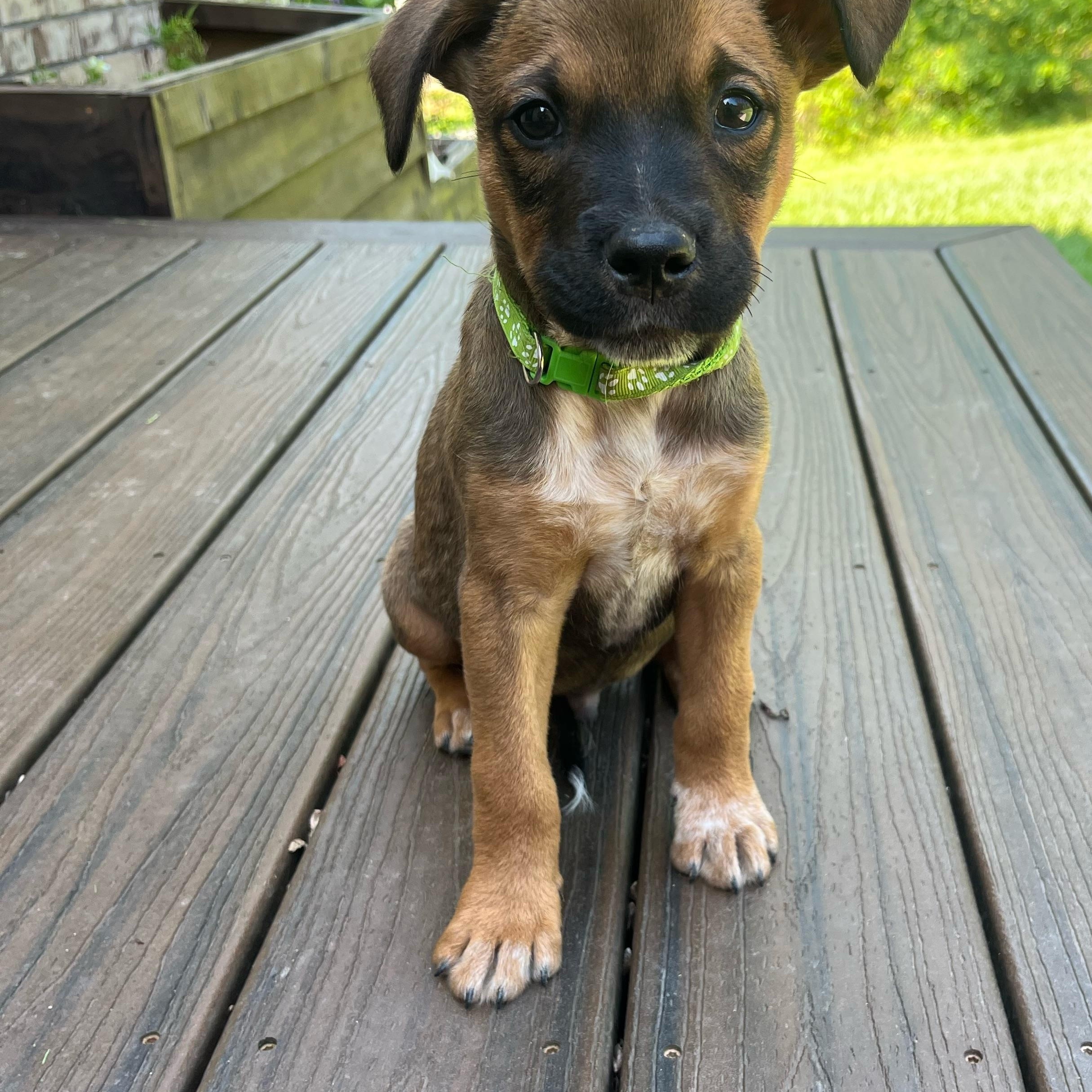 GUS photo 5