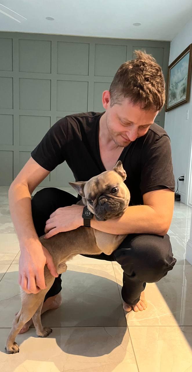 Georgie, an adoption pending French Bulldog in Miramar, FL image 5/5