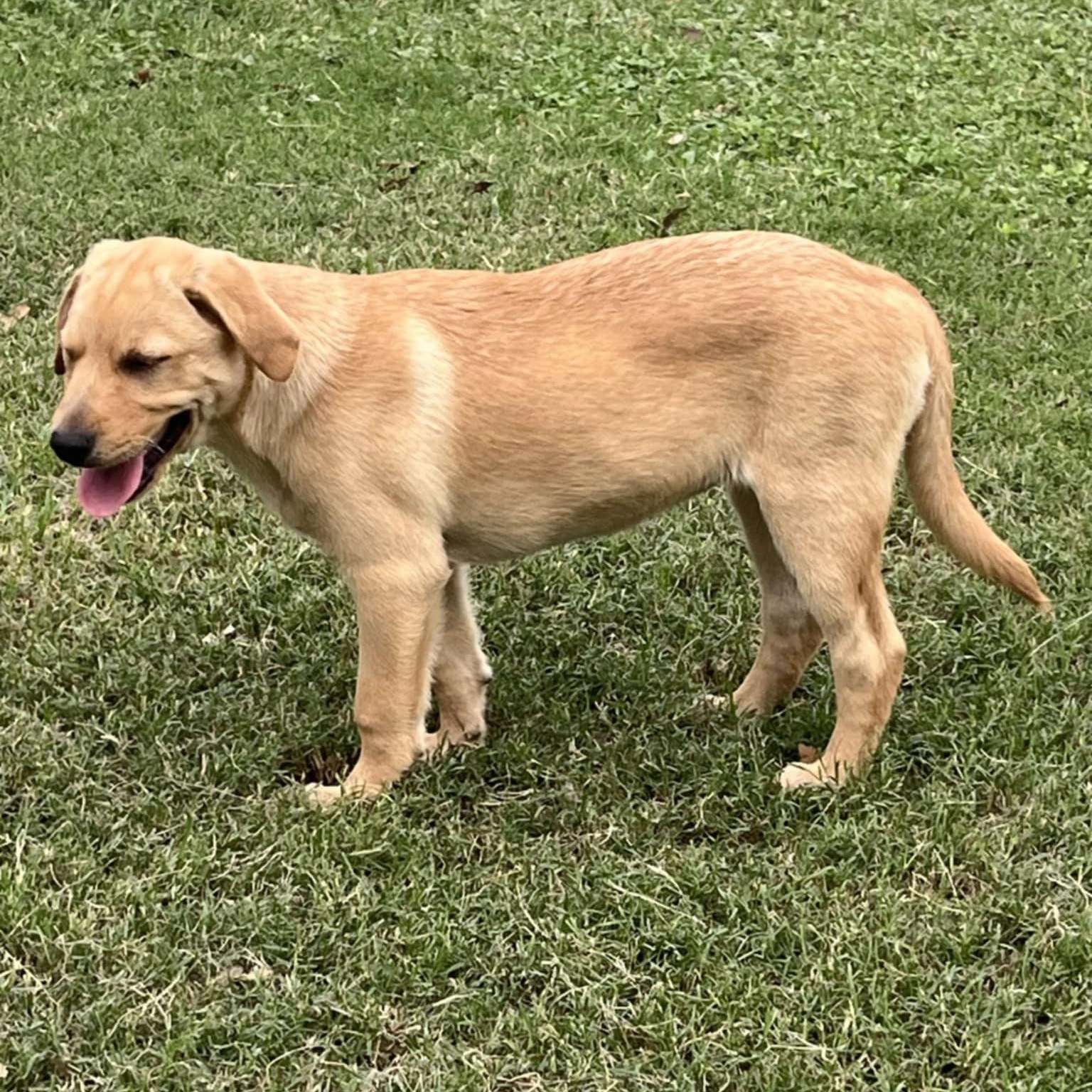 Tutti