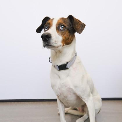 Maya — thumbnail 3