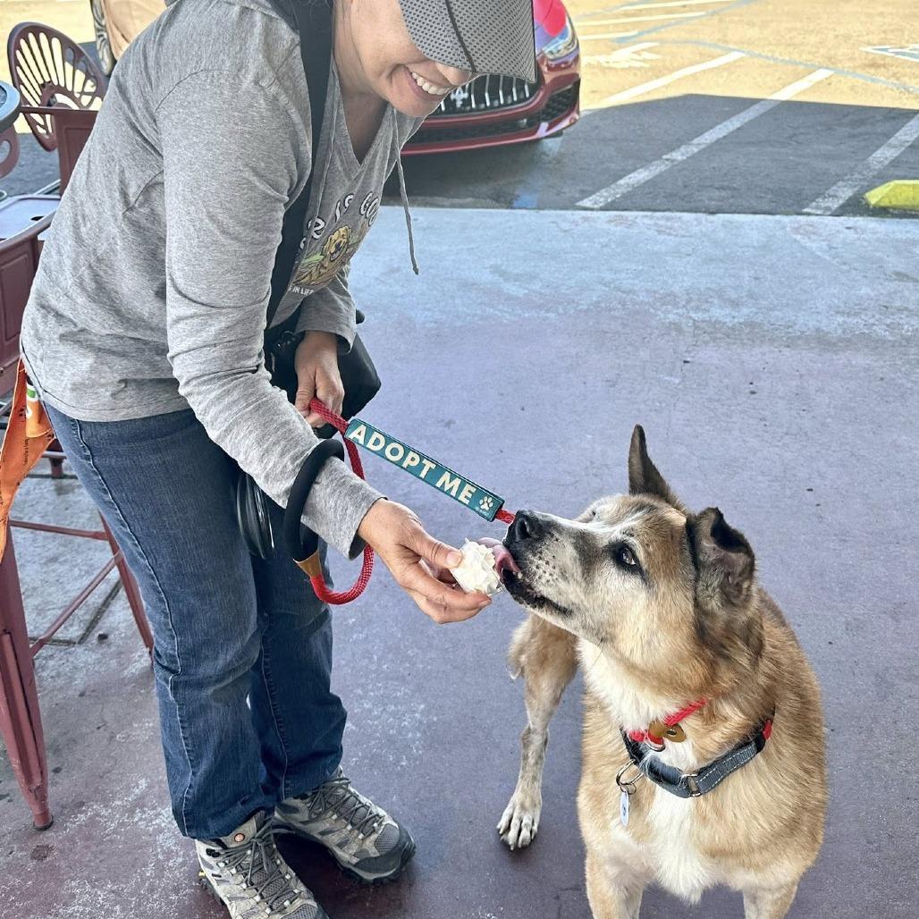 Ludo — thumbnail 6