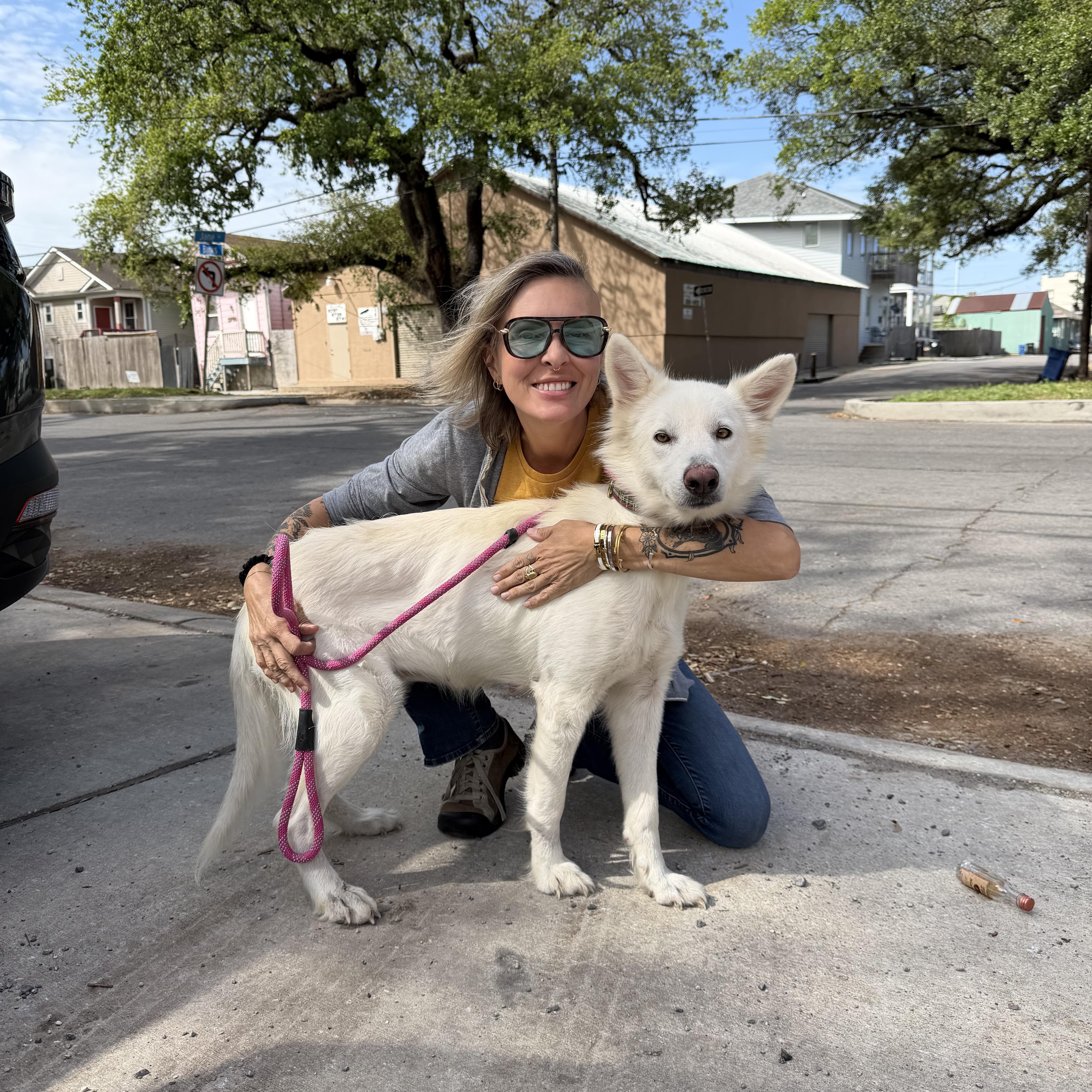 Enlarge Icha, a ADOPTABLE mixed breed in New Orleans, LA image 1/2