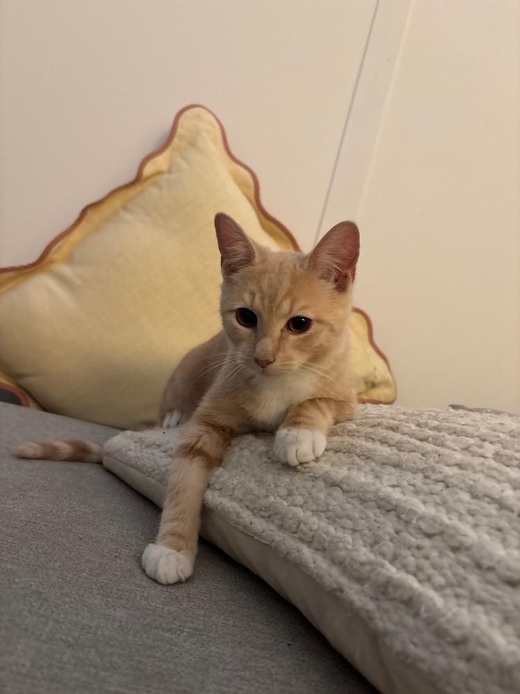 Griffin & Watts thumbnail 2