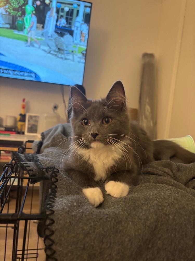 Griffin & Watts thumbnail 6