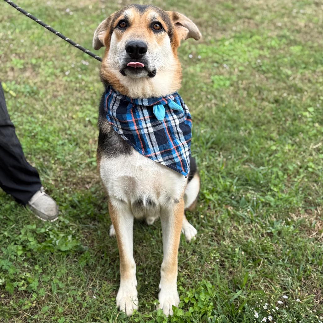 Beryl — thumbnail 3